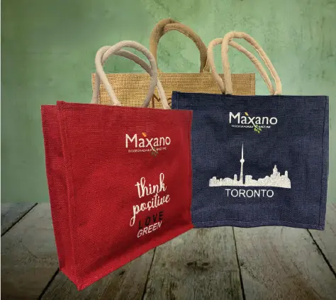 Reusable Grocery Shopping Bag -  Toronto Print (Medium)